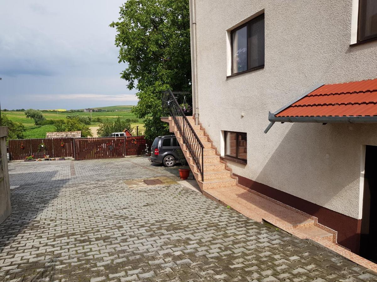 Ferienwohnung Gold Fayen House Cheile Turului Tureni Exterior foto