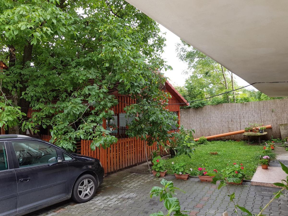 Ferienwohnung Gold Fayen House Cheile Turului Tureni Exterior foto