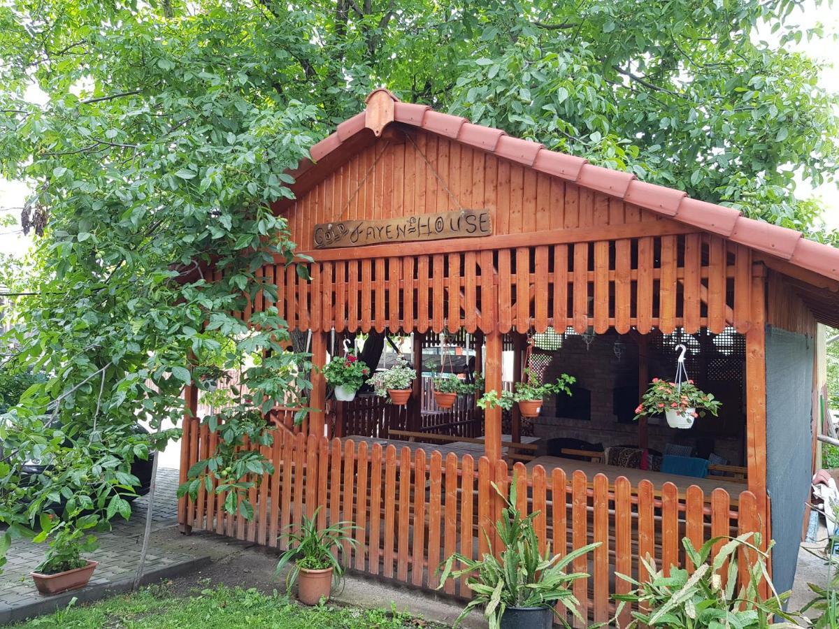 Ferienwohnung Gold Fayen House Cheile Turului Tureni Exterior foto