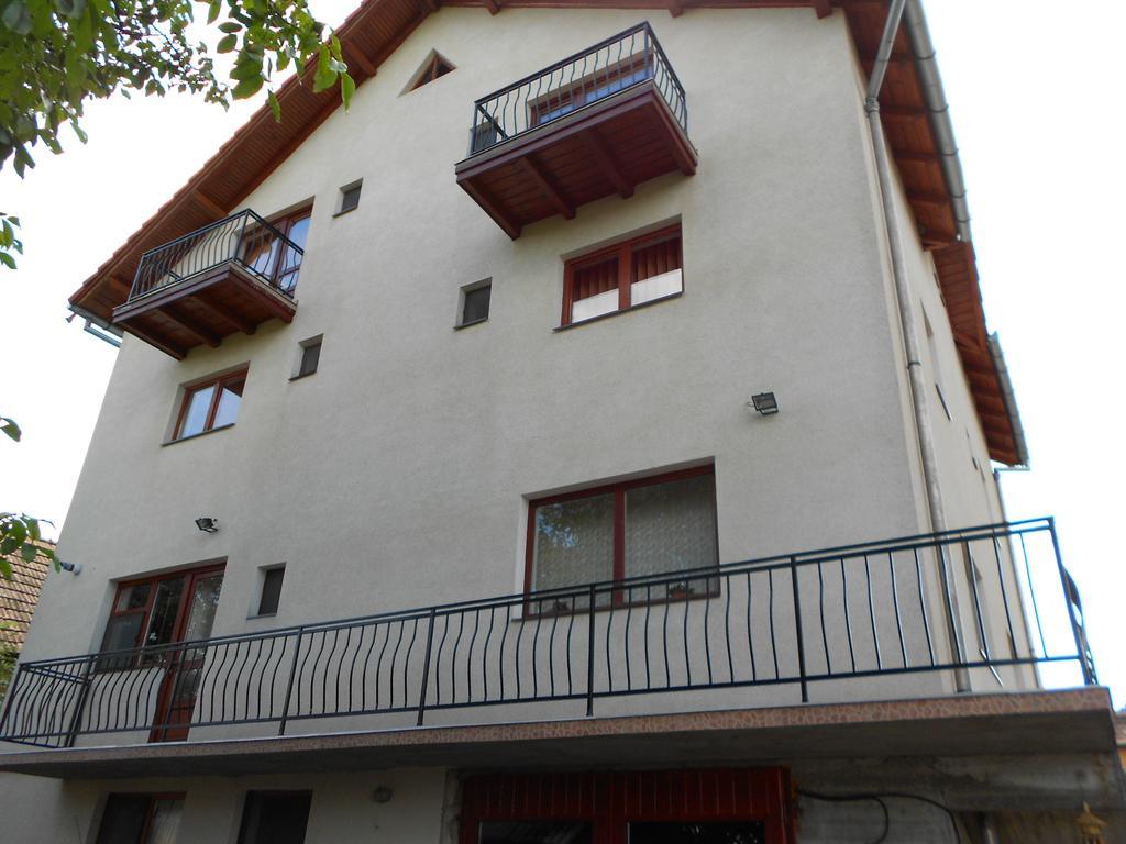 Ferienwohnung Gold Fayen House Cheile Turului Tureni Exterior foto