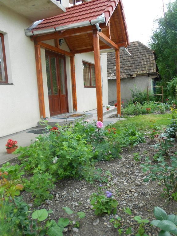Ferienwohnung Gold Fayen House Cheile Turului Tureni Exterior foto