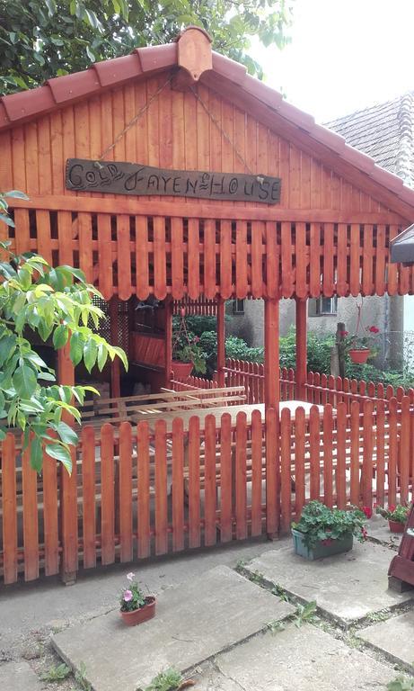 Ferienwohnung Gold Fayen House Cheile Turului Tureni Exterior foto